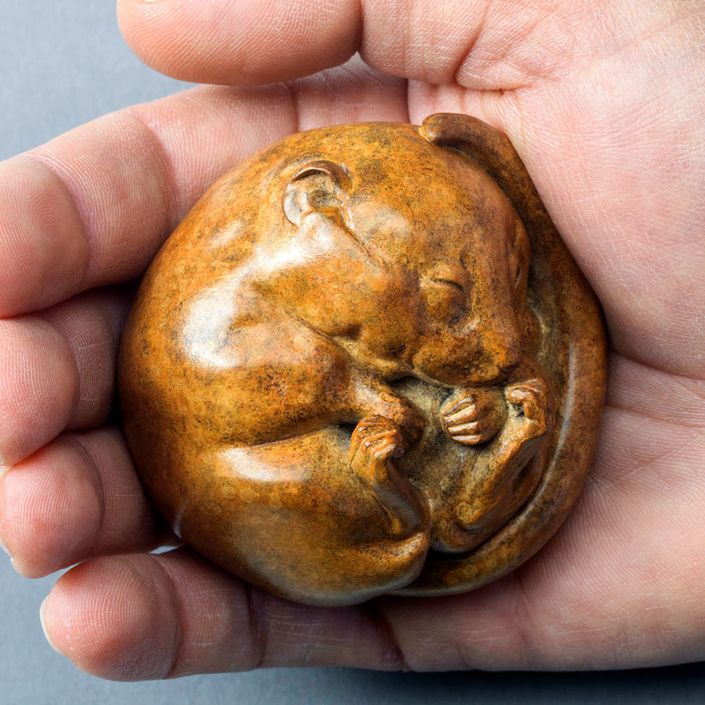 Dormouse (Sleeping) by John Michael