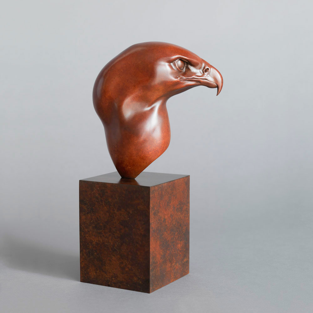 Golden Eagle Head by John Michael