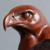Golden Eagle Head by John Michael