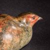 Grey Partridge by John Michael
