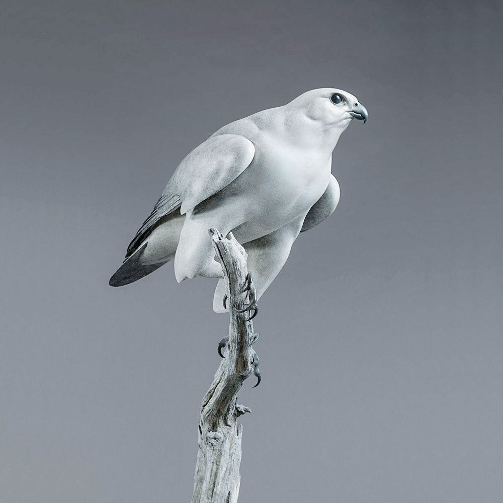 Gyrfalcon Gyrfalcon by John Michael