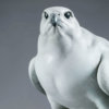 Gyrfalcon by John Michael