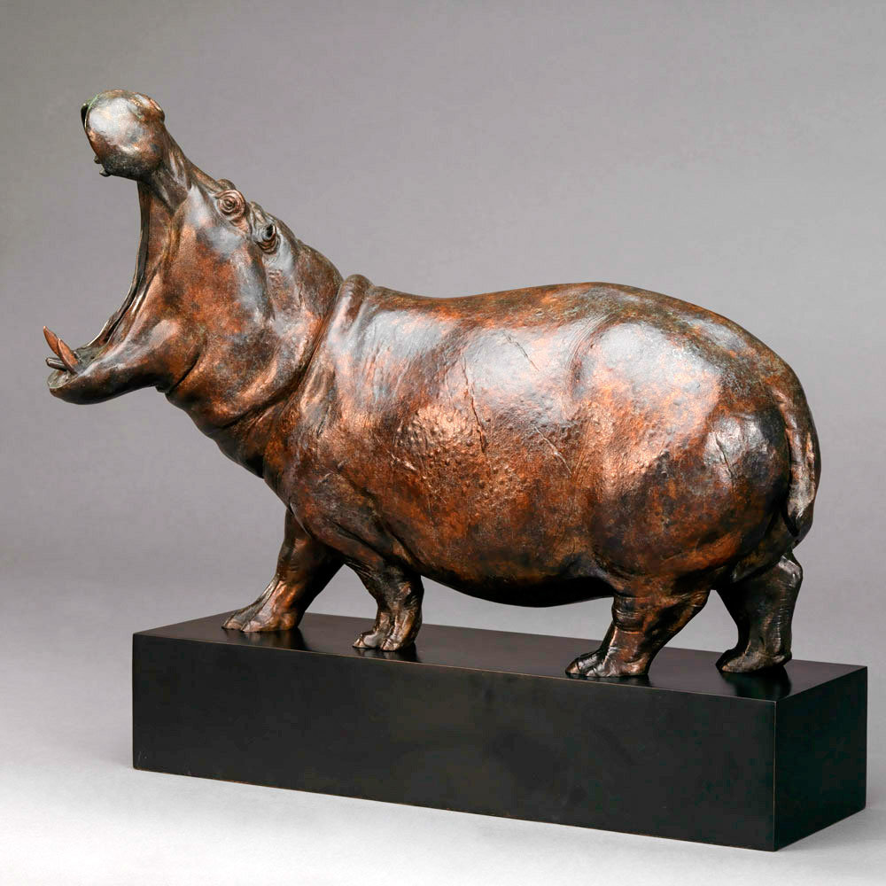 Hippopotamus Bull by John Michael