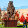 Kodiak Brown Bear (Indomitable) by John Michael