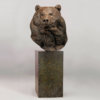 Kodiak Brown Bear (Indomitable - Head Study) by John Michael