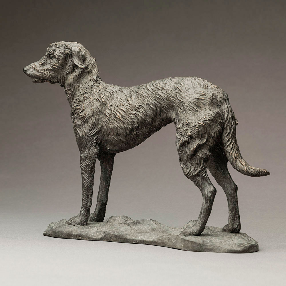Lurcher (Grace) Lurcher (Grace) by John Michael