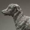 Lurcher (Grace) by John Michael