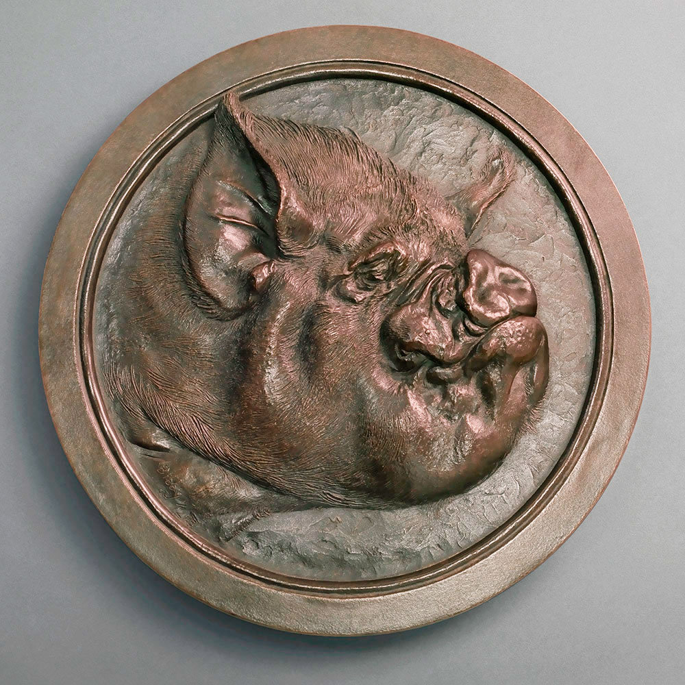 Middle White Pig (Truffles) by John Michael