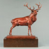 Red Deer Stag (The Emperor of Exmoor) by John Michael