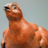 Red Grouse by John Michael