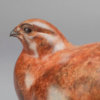 Red Grouse II by John Michael