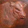 Red Ruby Devon Bull (Elmford Discretion) by John Michael