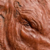 Red Ruby Devon Bull (Elmford Discretion) by John Michael