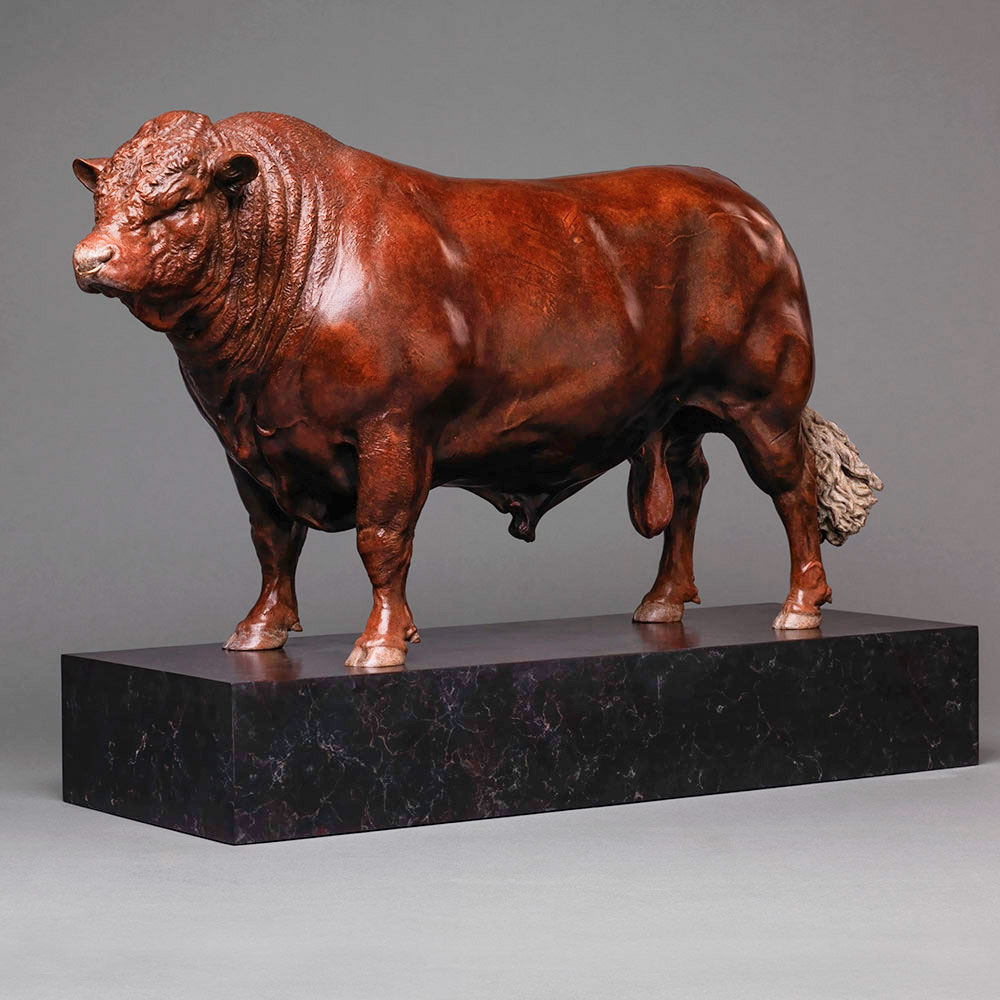 Red Ruby Devon Bull (Yeomadon Ferdinand) Red Ruby Devon Bull (Yeomadon Ferdinand) by John Michael