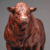Red Ruby Devon Bull (Yeomadon Ferdinand) by John Michael