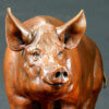Tamworth Pig (Crane Glen III) by John Michael