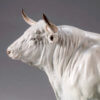 White Park Bull (Ash Nik-Nak) by John Michael