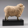Whiteface Dartmoor Sheep (William) by John Michael