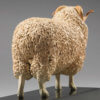 Whiteface Dartmoor Sheep (William) by John Michael