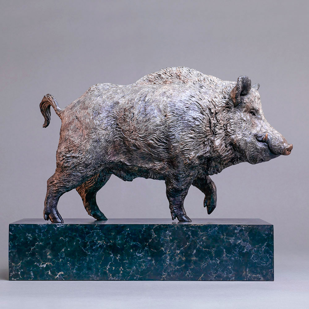 Wild Boar Wild Boar by John Michael