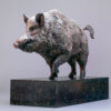 Wild Boar by John Michael