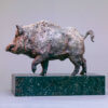 Wild Boar by John Michael