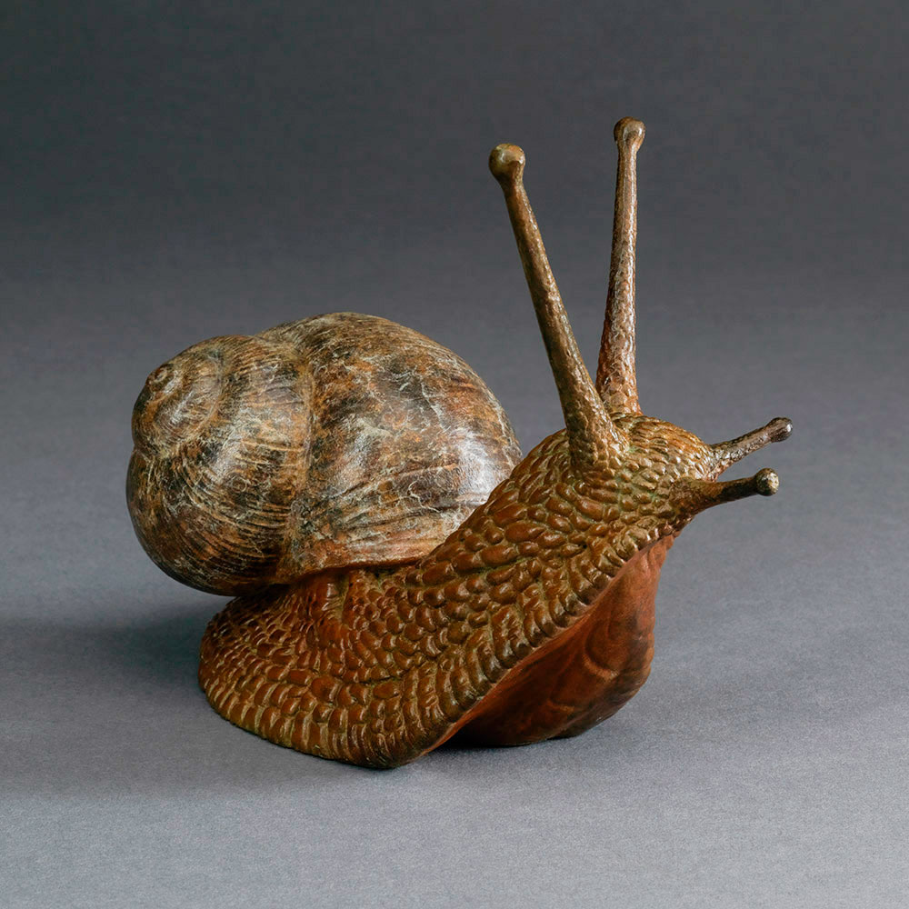 GARDEN SNAIL GARDEN SNAIL