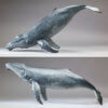 Humpback Whale by John Michael