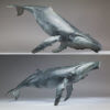 Humpback Whale by John Michael