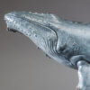 Humpback Whale by John Michael