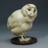 BARN OWL CHICK by John Michael