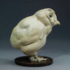 BARN OWL CHICK by John Michael