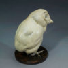 BARN OWL CHICK by John Michael