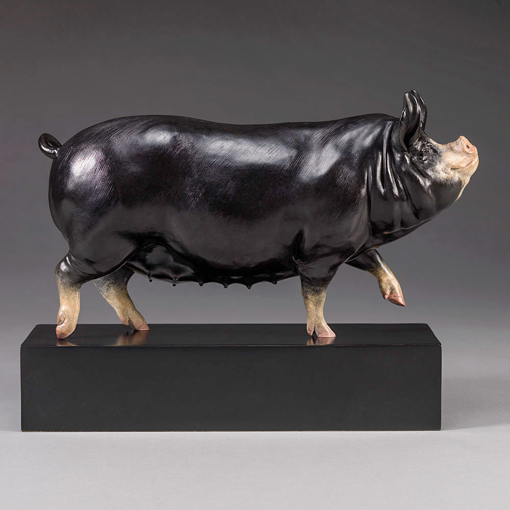 Berkshire Pig (Dittisham Lady 22) by John Michael