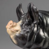 Berkshire Pig (Dittisham Lady 22) by John Michael