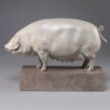 British Lop Pig (Liskeard Sunshine 500) by John Michael