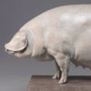 British Lop Pig (Liskeard Sunshine 500) by John Michael
