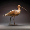 Curlew by John Michael