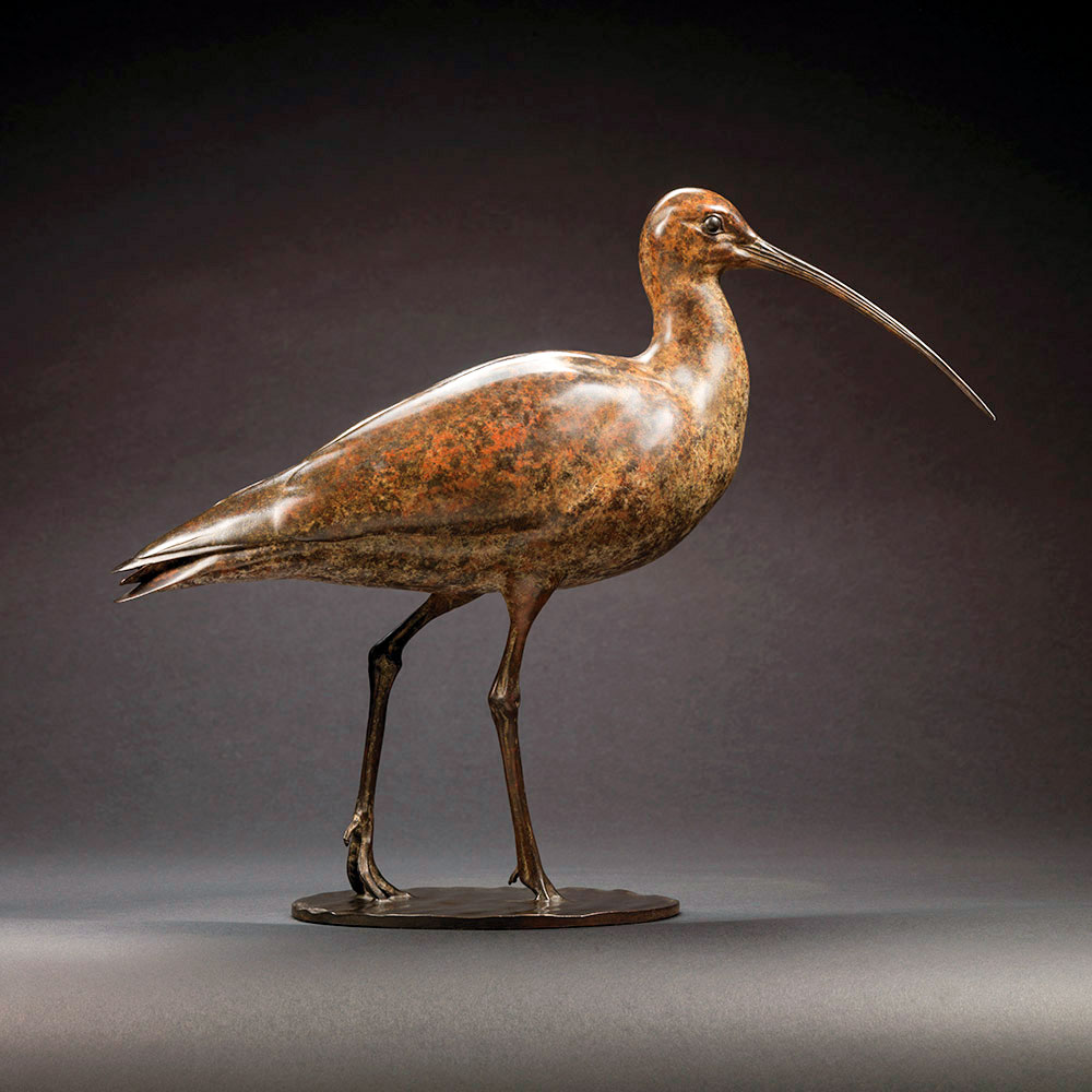 Curlew Curlew by John Michael