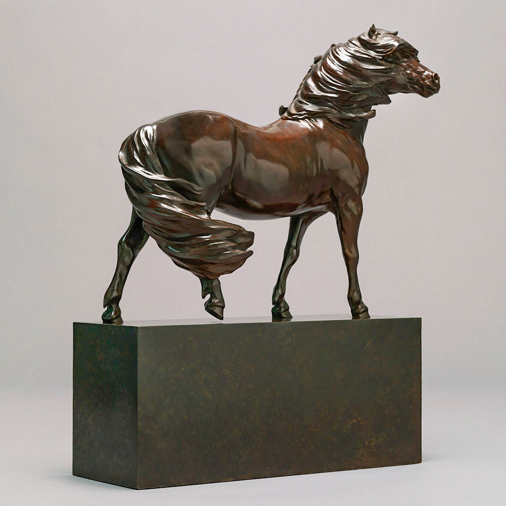 Dartmoor Pony (Moortown Countryman) by John Michael