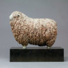 Devon and Cornwall Longwool Sheep (ED) by John Michael