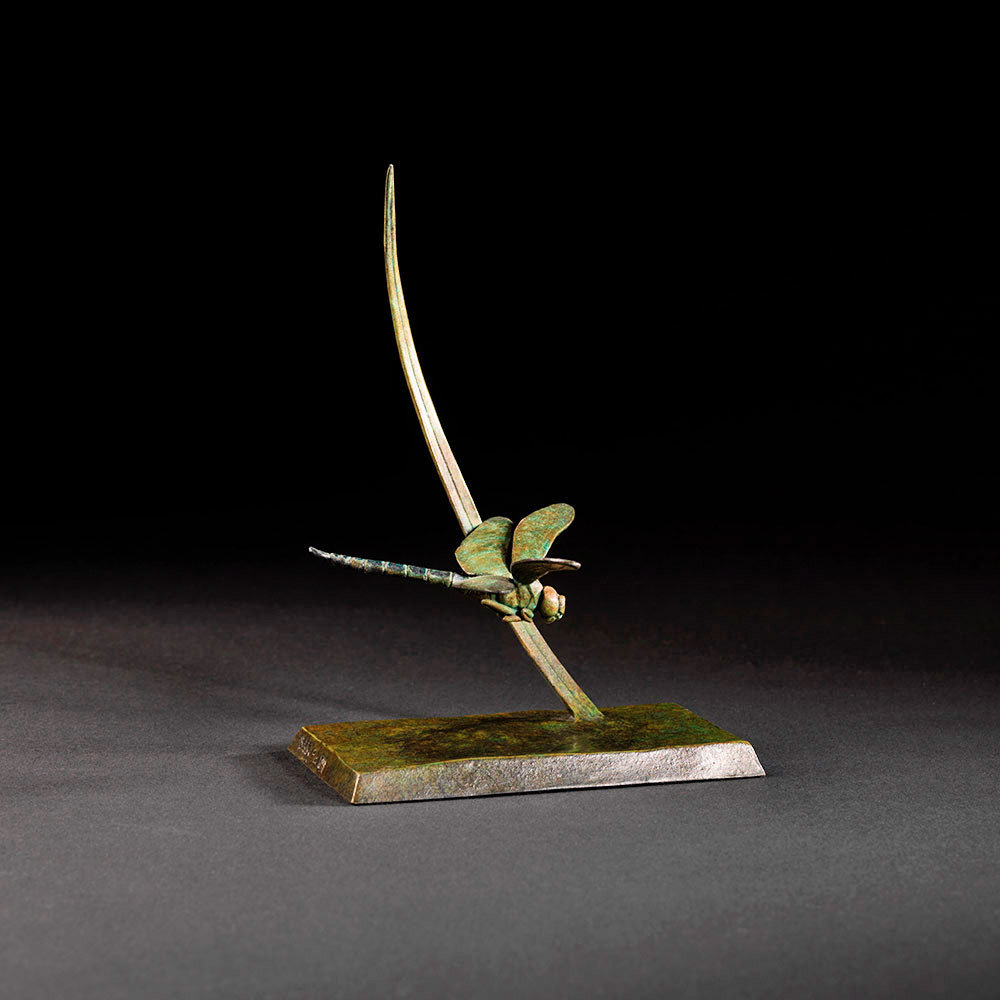 Dragonfly by John Michael