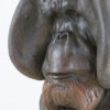 Orangutan Bust "Old Man of the Woods" by John Michael