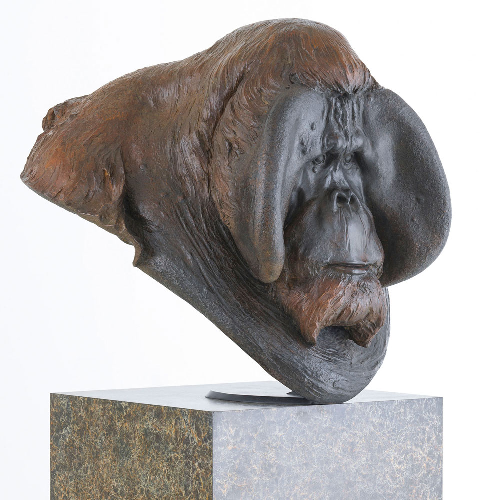 Orangutan Bust "Old Man of the Woods" Orangutan Bust "Old Man of the Woods" by John Michael