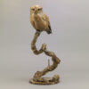 LITTLE OWL II