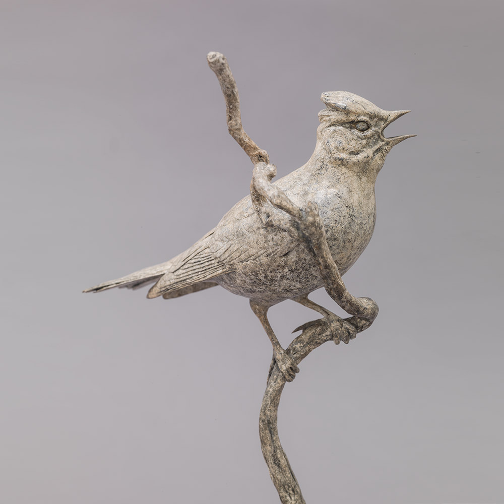 SKYLARK SINGING SKYLARK SINGING