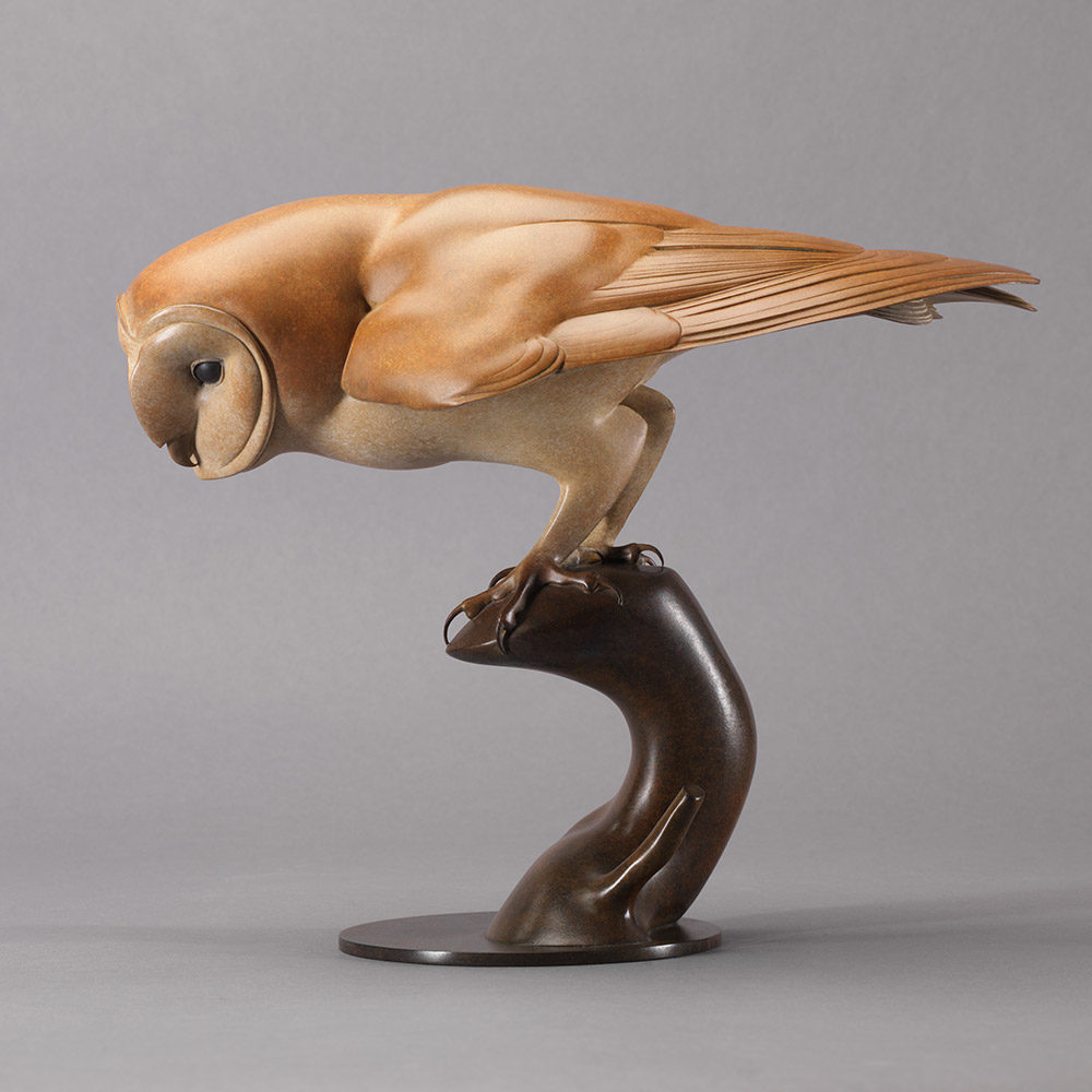 Barn Owl by John Michael