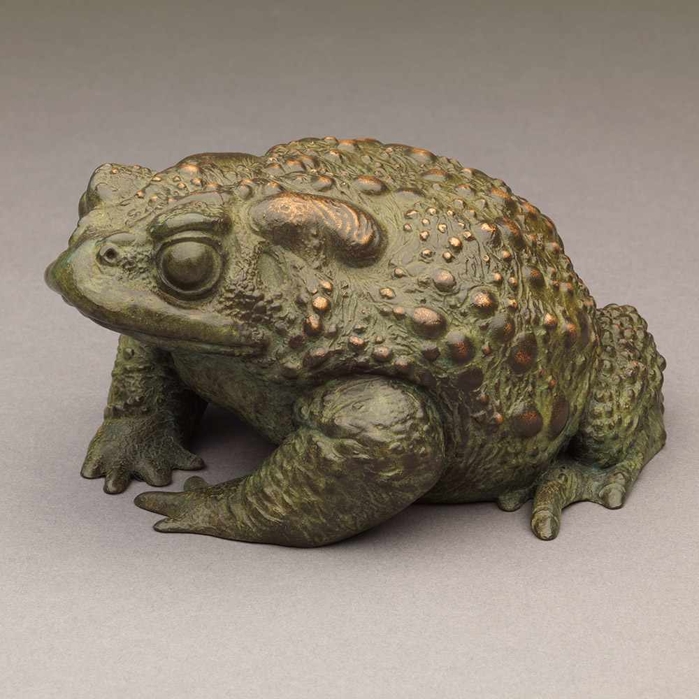 Toad II Toad II by John Michael
